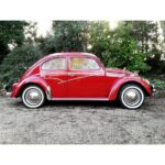 Beetle Aussie flash trim AAC315