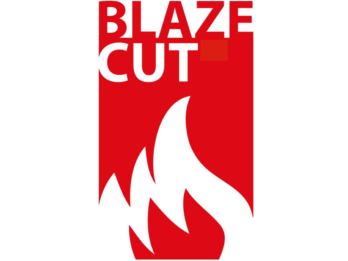 BlazeCut T200E Fire Suppression System (2M)